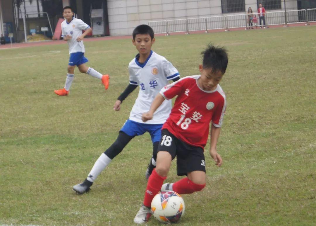 龙华足球小将突破历史创佳绩，深圳市青少年足球锦标赛落幕！