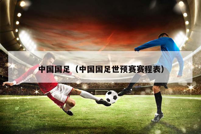 中国国足（中国国足世预赛赛程表）